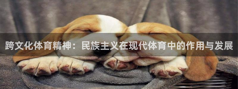 意昂5Kgame4注册：跨文化体育精神：民族主义在现代体育中的作用与发展