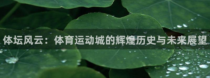 福建意昂5Kgame机电股份公司：体坛风云：体育运动城的辉煌历史与未来展望