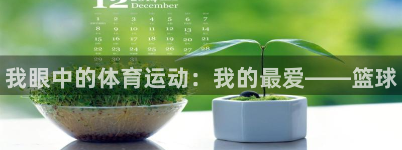 意昂5Kgame体育2：我眼中的体育运动：我的最爱——篮球