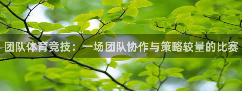 意昂5Kgame电子有限公司