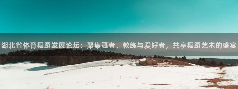 意昂5Kgame2登录入口：湖北省体育舞蹈发展论坛：聚集舞者、教练与爱好者，共享