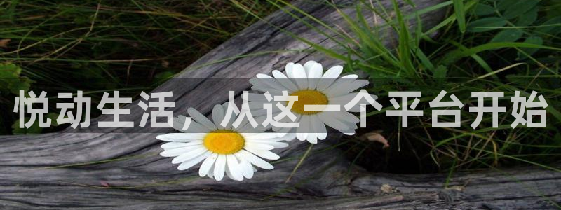 意昂5Kgame官网：悦动生活，从这一个平台开始