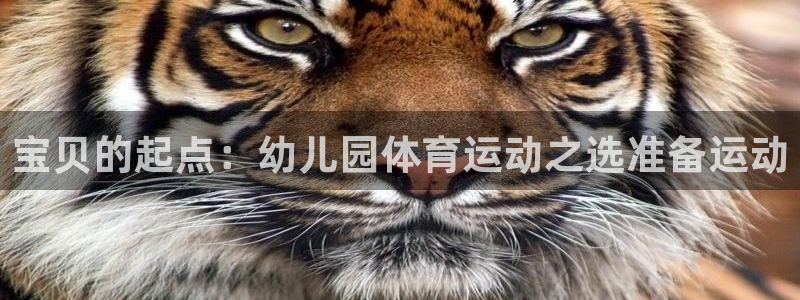 意昂5Kgame4开户：宝贝的起点：幼儿园体育运动之选准备运动
