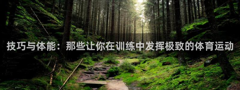 意昂5Kgame凯捷注册：技巧与体能：那些让你在训练中发挥极致的体育运动