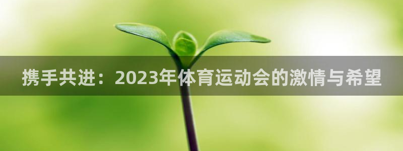 意昂5Kgamef凯捷平台在线注册：携手共进：2023年体育运动会的激情与希望