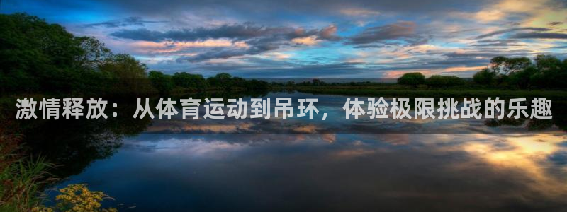上海意昂5Kgame汽车电子有限公司：激情释放：从体育运动到吊环，体验极限挑战的